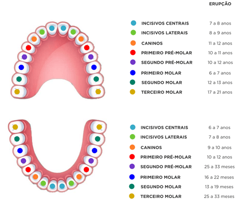 Mitos e Verdades sobre a Dentição do Bebê: Febre e Diarreia