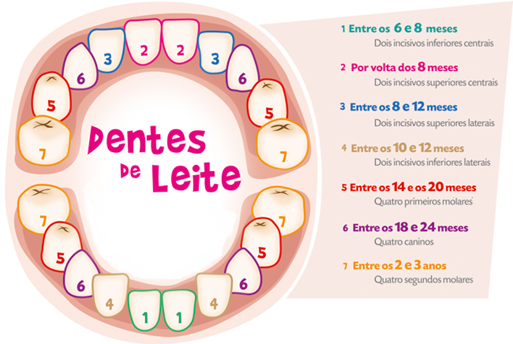 Os Melhores Mordedores Gelados para Aliviar o Desconforto da Dentição
