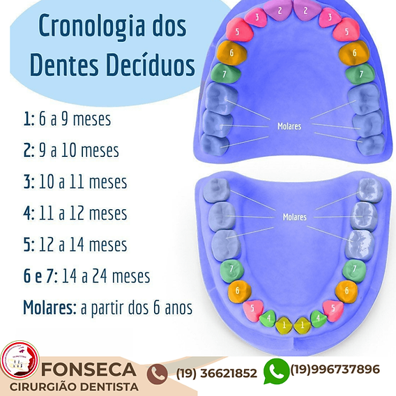 Nascimento Dos Dentes De Leite
