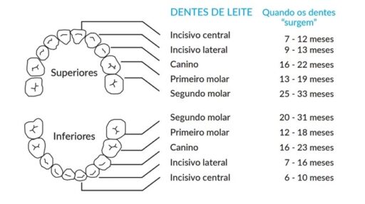 Os Melhores Mordedores Gelados para Aliviar o Desconforto da Dentição