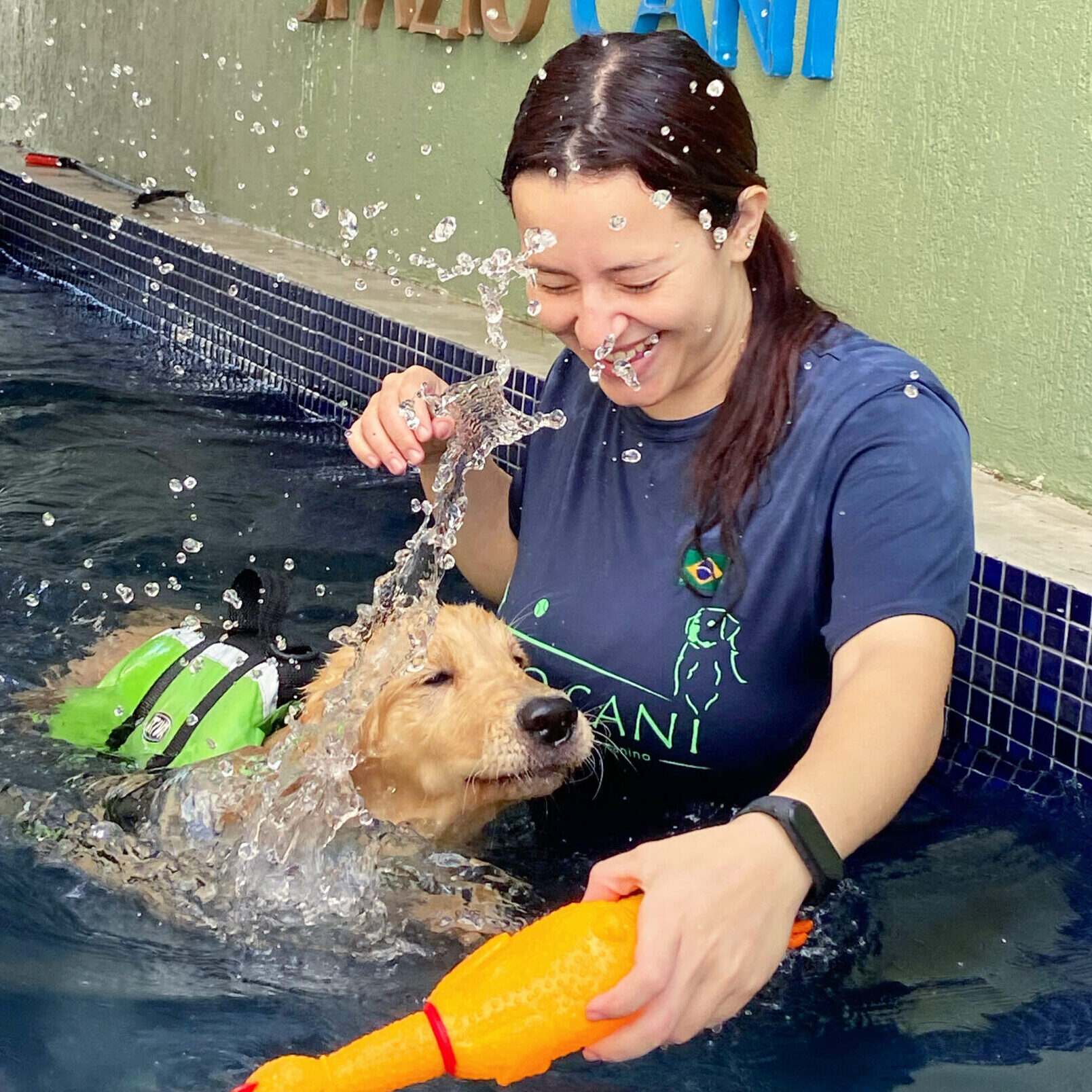 Os melhores coletes salva-vidas para cães em 2024
