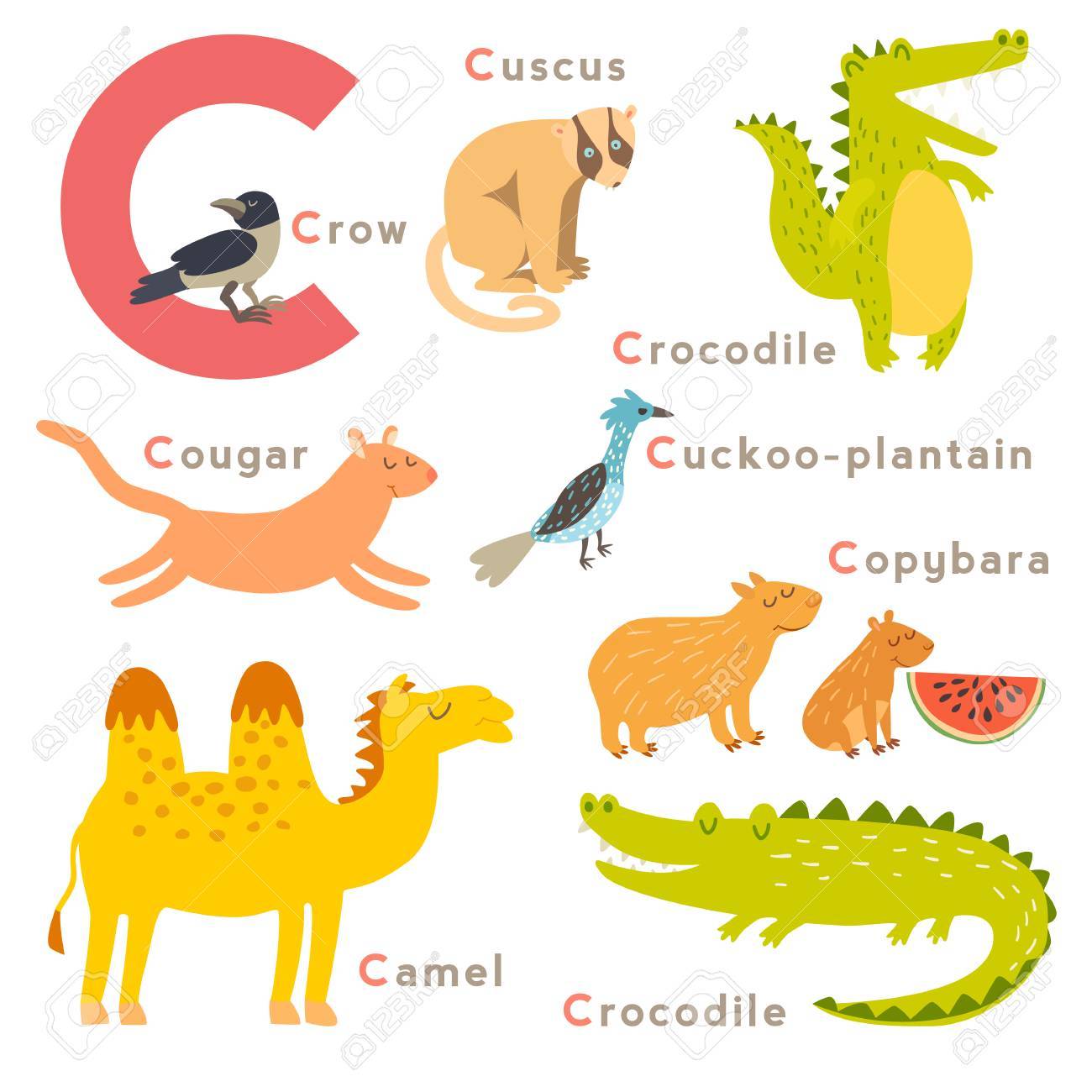 animais selvagens com c