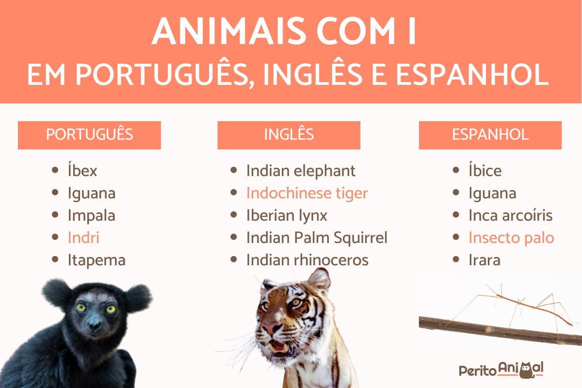 lista completa animais com a letra i