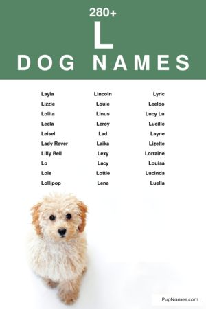 nomes para pinscher fêmea