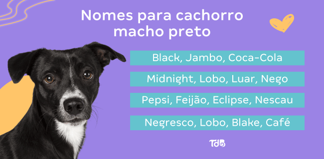 nomes para pinscher filhote