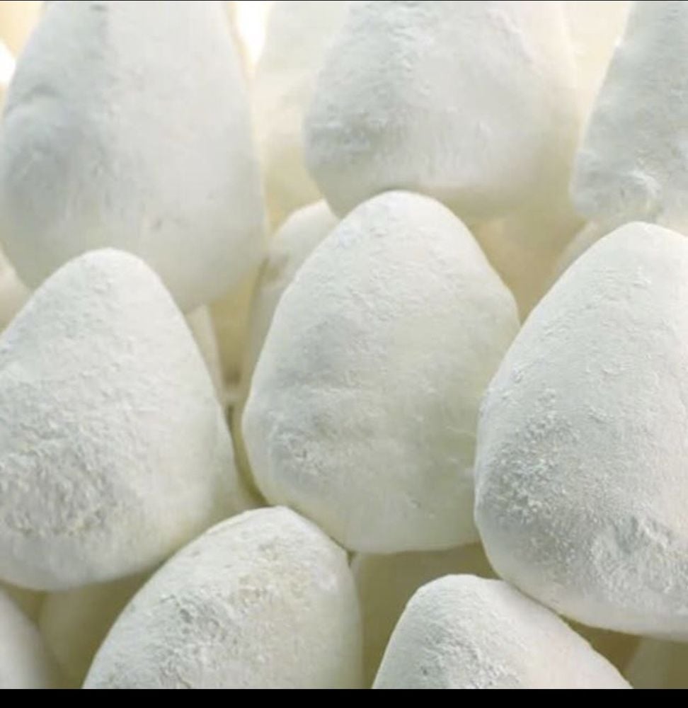 nome de comida com a letra j