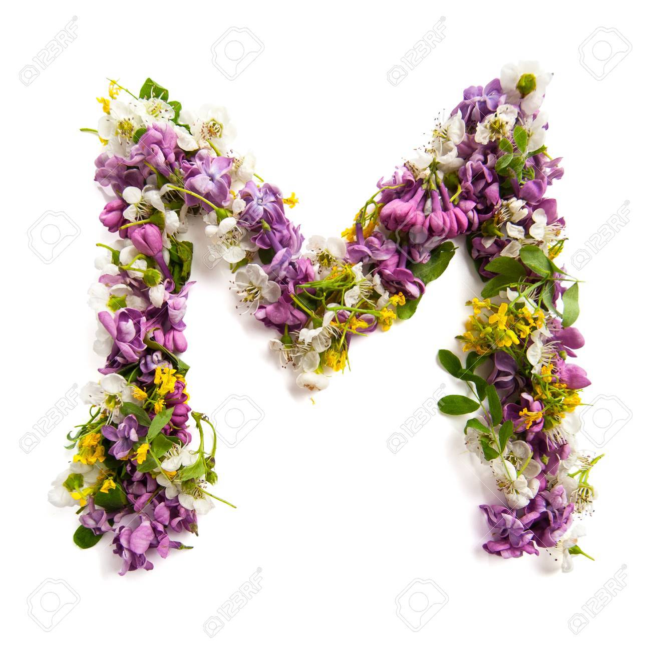 flores M para buquê
