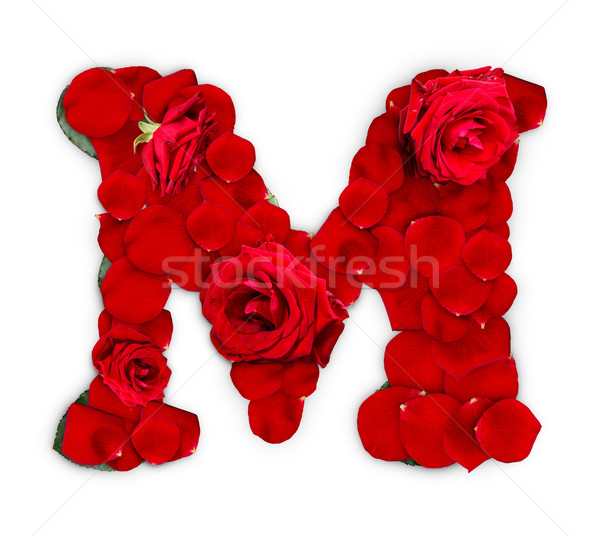 flores M perfumadas