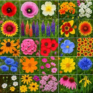 flores com M para jardim