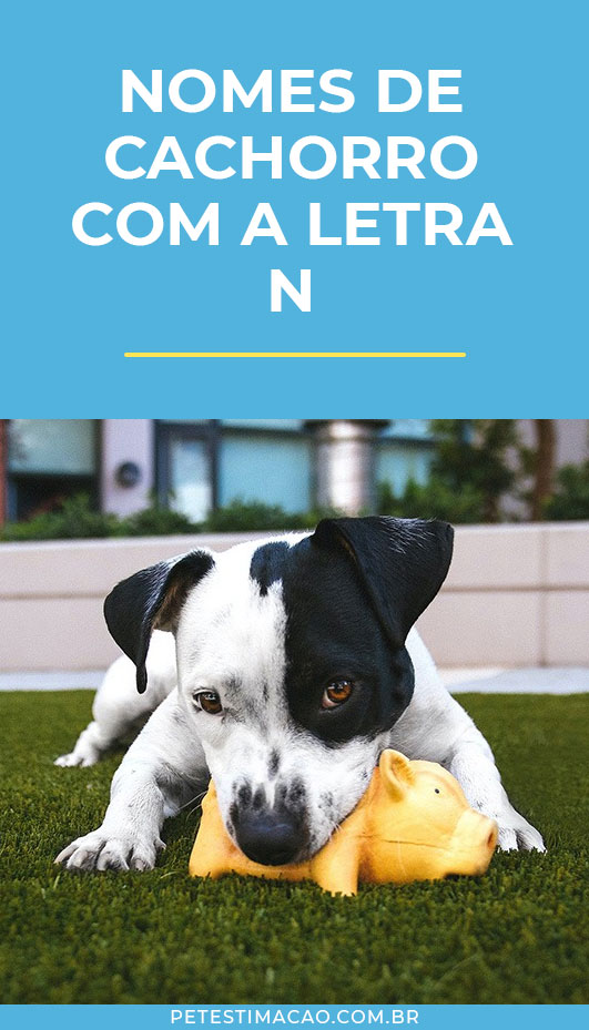 nomes com a letra N e seus significados