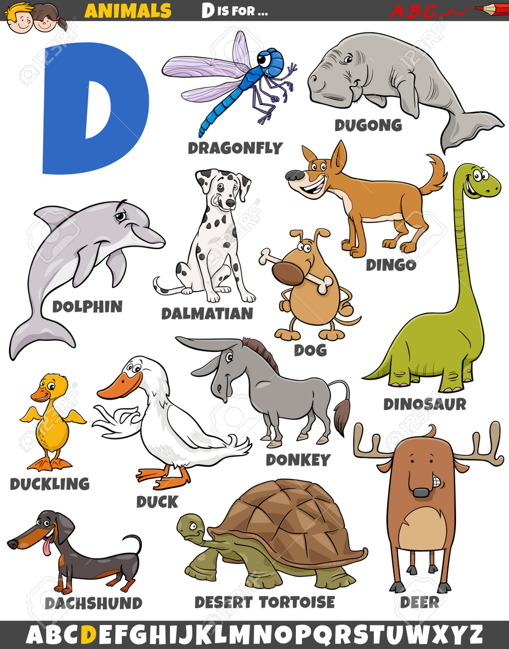 mamíferos com D