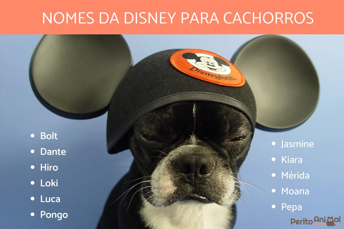 nomes de cachorro de filme
