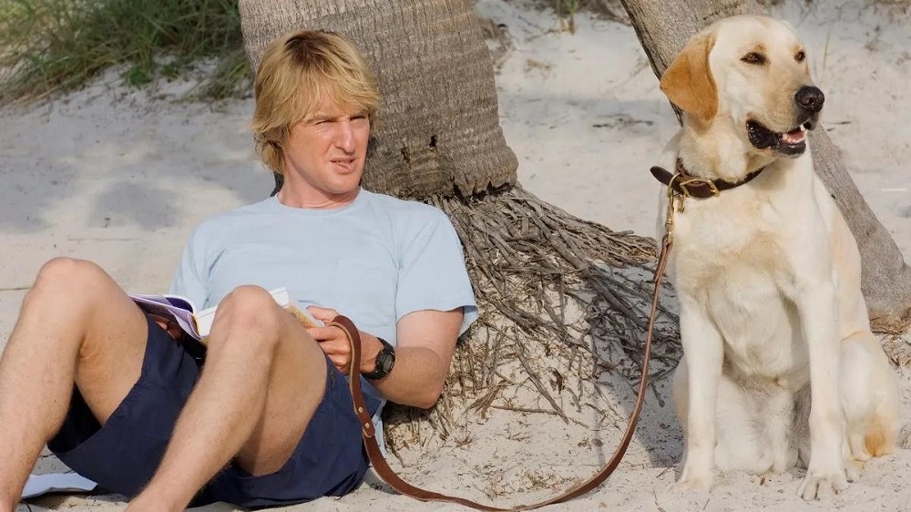 Como Escolher o Nome Perfeito para Seu Pet Inspirado em Filmes