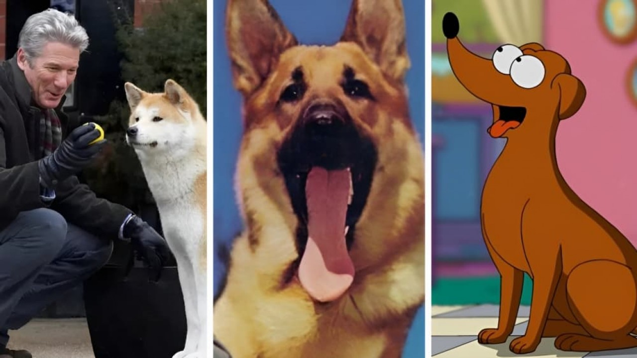 Raças de Cachorros Famosos do Cinema e Suas Histórias