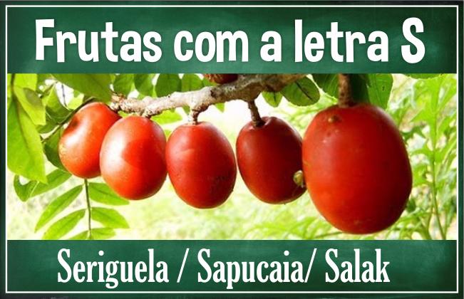 frutas com a letra s nomes