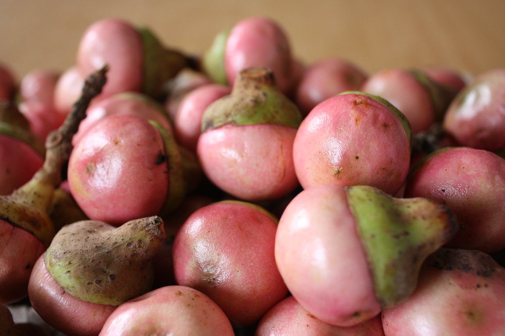 erros comuns ao procurar frutas com e