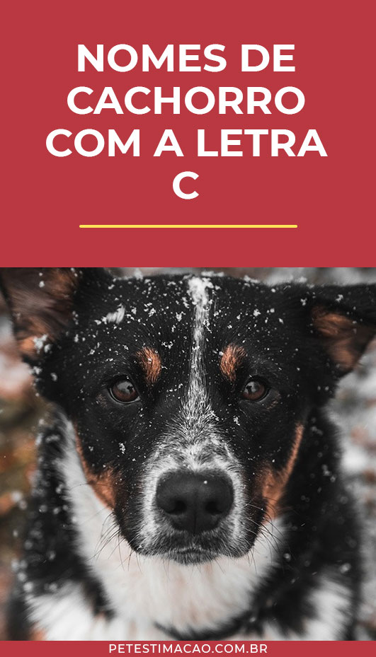 nomes diferentes com c para meninos