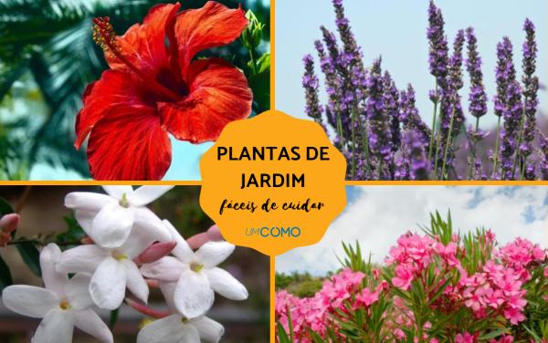 Nomes De Plantas De Jardim