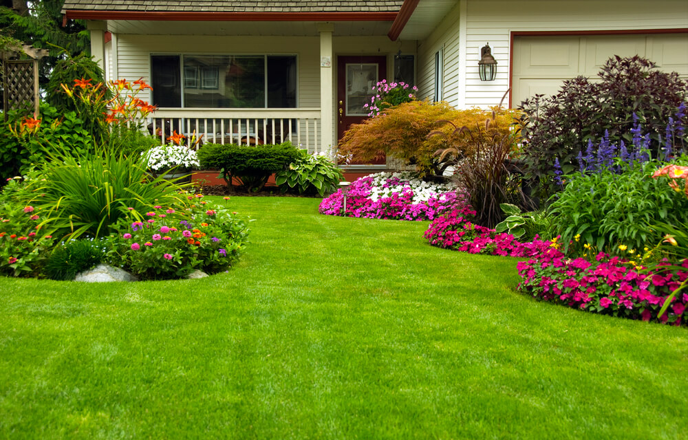 5 ideias de títulos:
1. Guia Completo: Escolhendo as Plantas Ideais para o Seu Jardim
2. Sol Pleno vs. Meia-Sombra: Onde Plantar Cada Espécie?
3. Plantas Ornamentais que Transformam Seu Espaço
4. Dicas de Manutenção para um Jardim Saudável e Bonito
5. Jardins Verticais e Pequenos: As Melhores Opções de Plantas