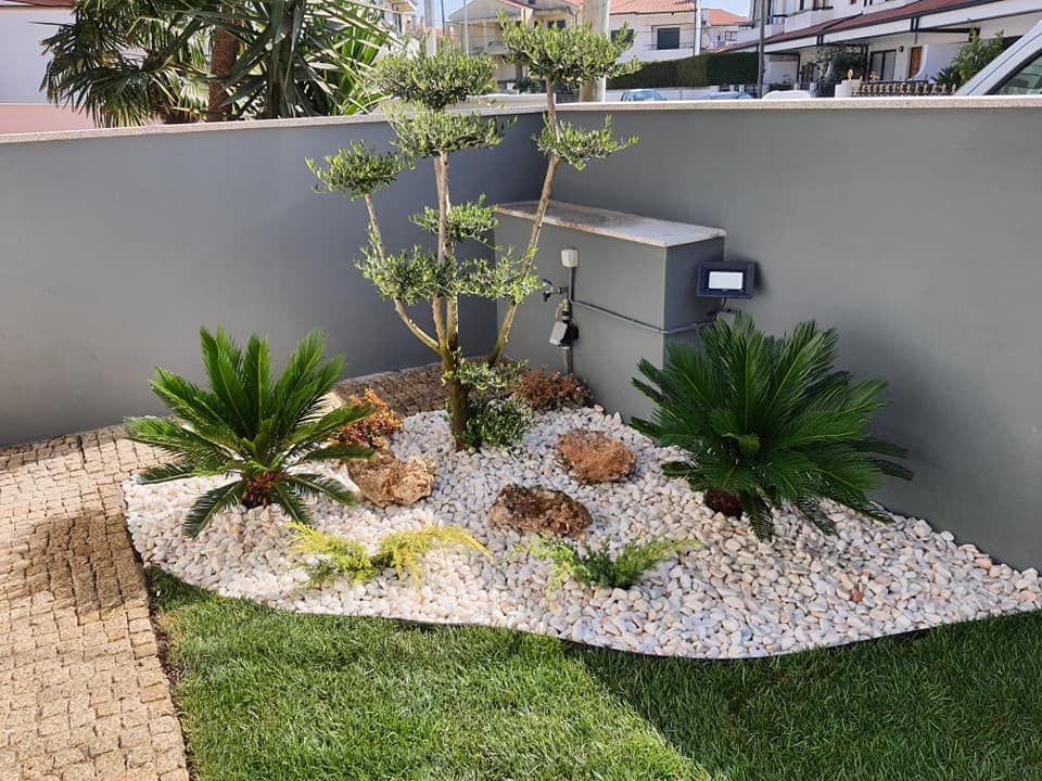 5 ideias de títulos:
1. Guia Completo: Escolhendo as Plantas Ideais para o Seu Jardim
2. Sol Pleno vs. Meia-Sombra: Onde Plantar Cada Espécie?
3. Plantas Ornamentais que Transformam Seu Espaço
4. Dicas de Manutenção para um Jardim Saudável e Bonito
5. Jardins Verticais e Pequenos: As Melhores Opções de Plantas
