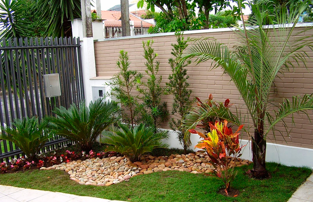 5 ideias de títulos:
1. Guia Completo: Escolhendo as Plantas Ideais para o Seu Jardim
2. Sol Pleno vs. Meia-Sombra: Onde Plantar Cada Espécie?
3. Plantas Ornamentais que Transformam Seu Espaço
4. Dicas de Manutenção para um Jardim Saudável e Bonito
5. Jardins Verticais e Pequenos: As Melhores Opções de Plantas
