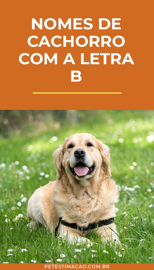 significado nomes com b