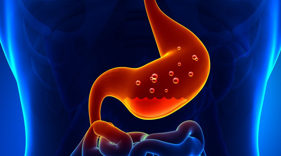 O Que E Gastrite Enantematosa