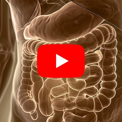 H. pylori: O Que é e Como Tratar a Infecção