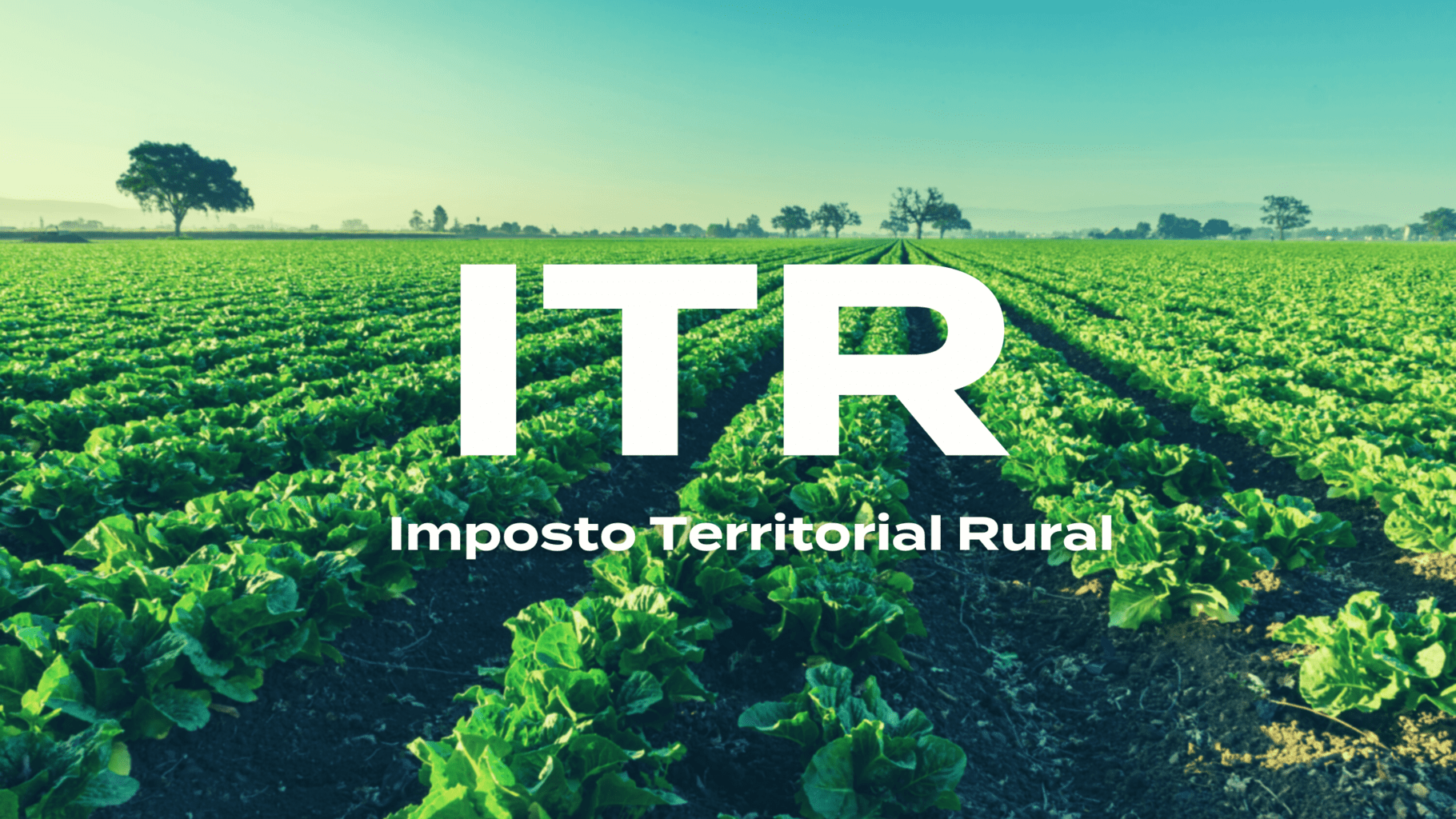 quem paga imposto territorial rural