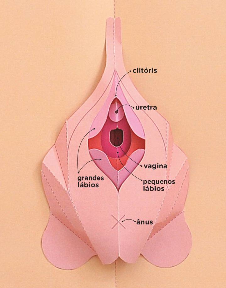 benefícios do pompoarismo para mulheres