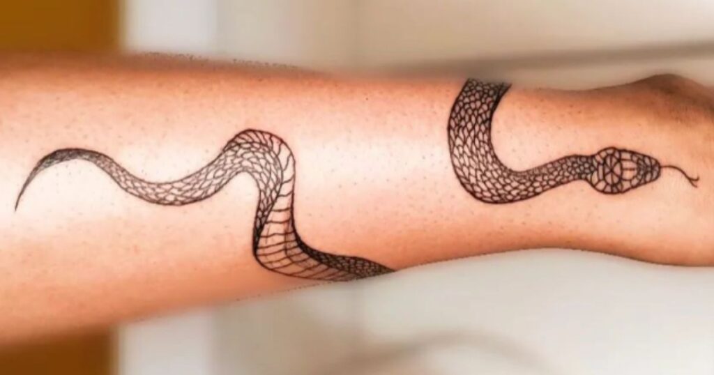 cobra tatuagem renascimento