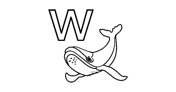 custo de um walkman antigo