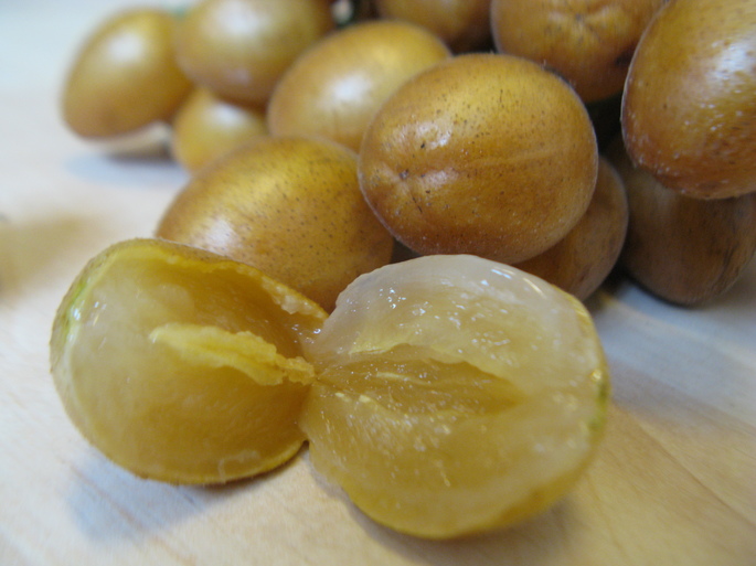 objetos com a letra w para jogos