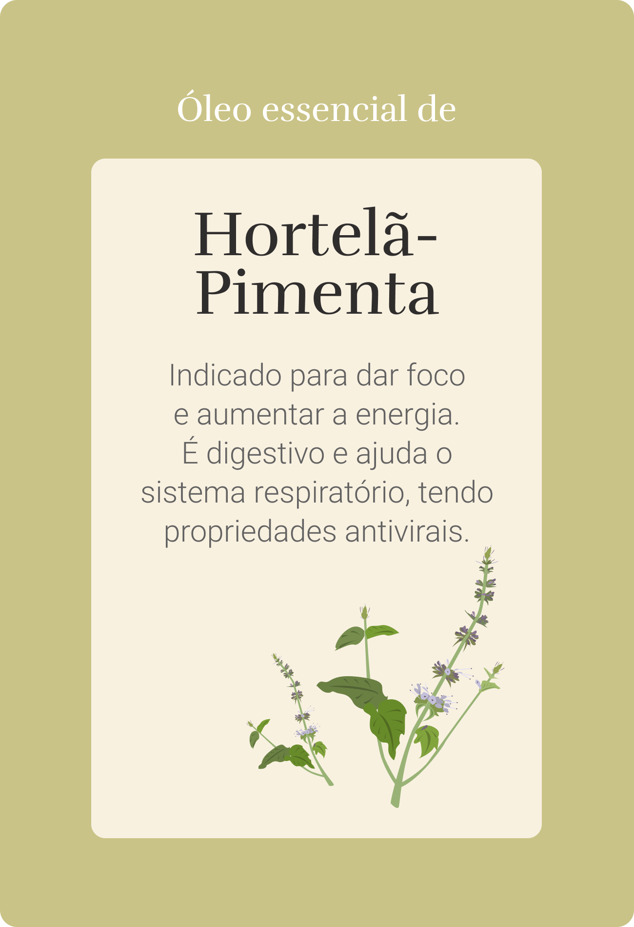 Oleos Essenciais Propriedades