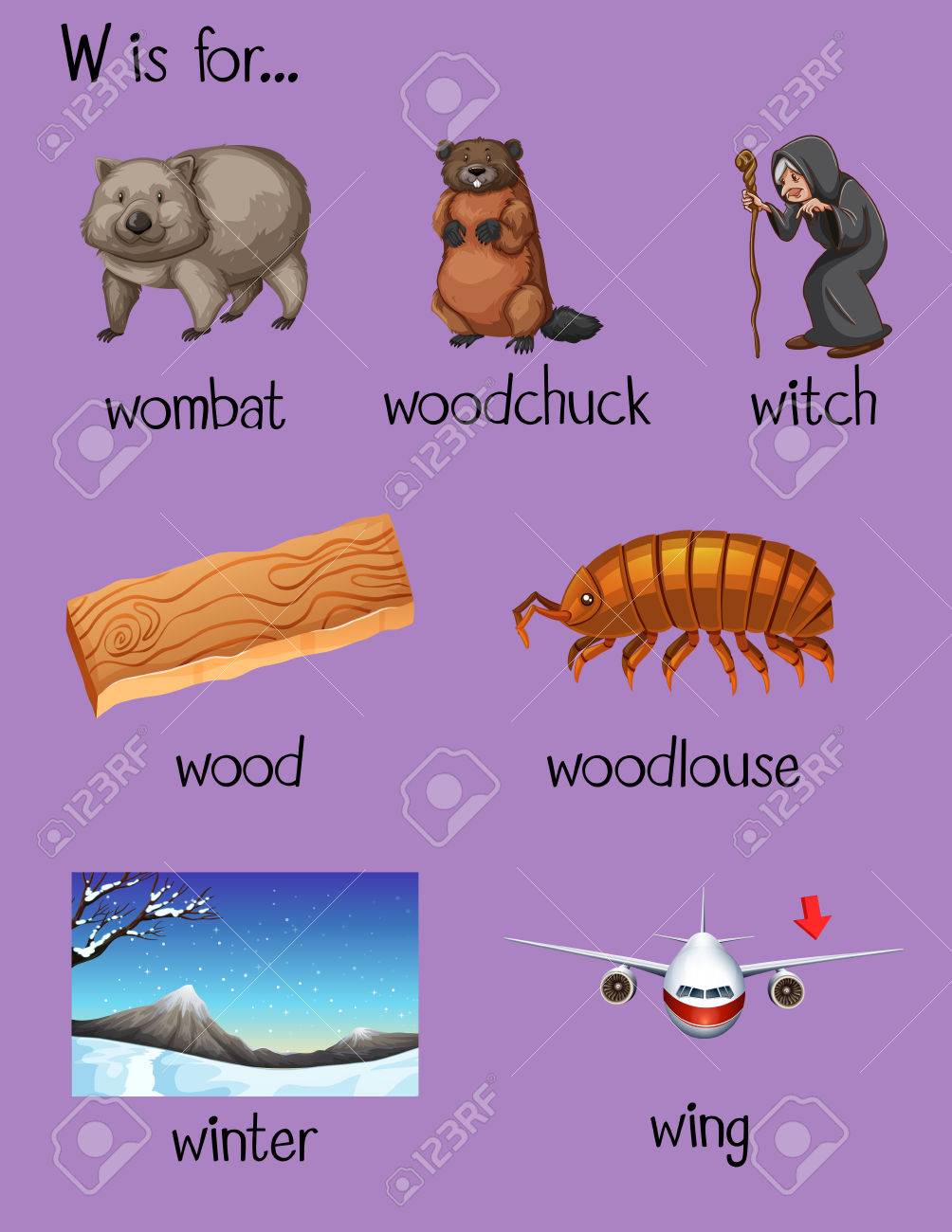 nomes de bebês com w