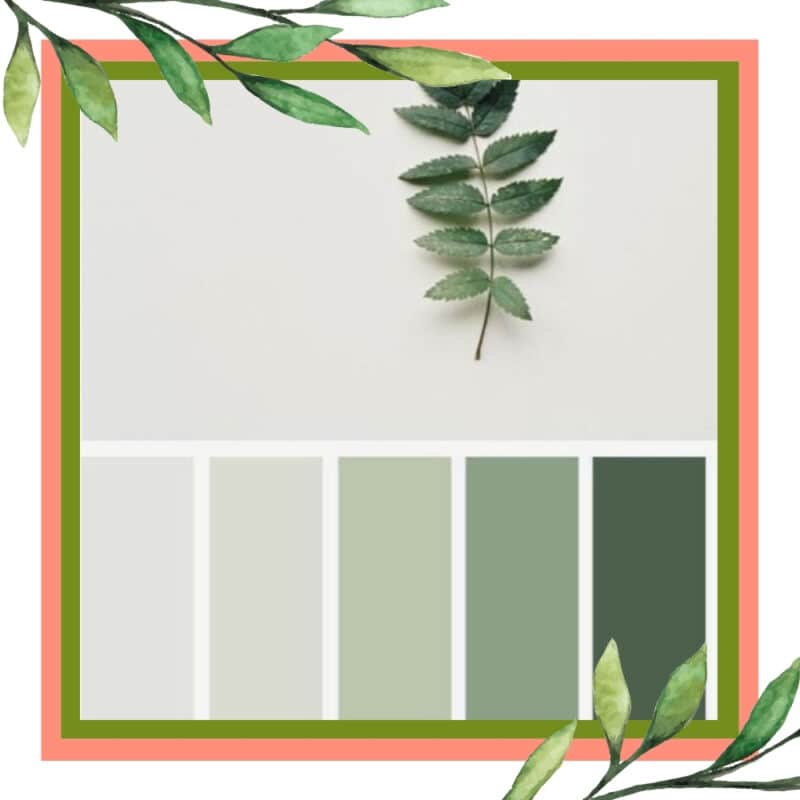 verde oliva e rosa claro
