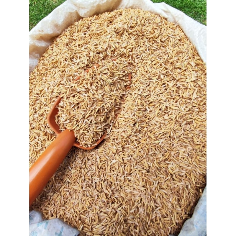 casca de arroz