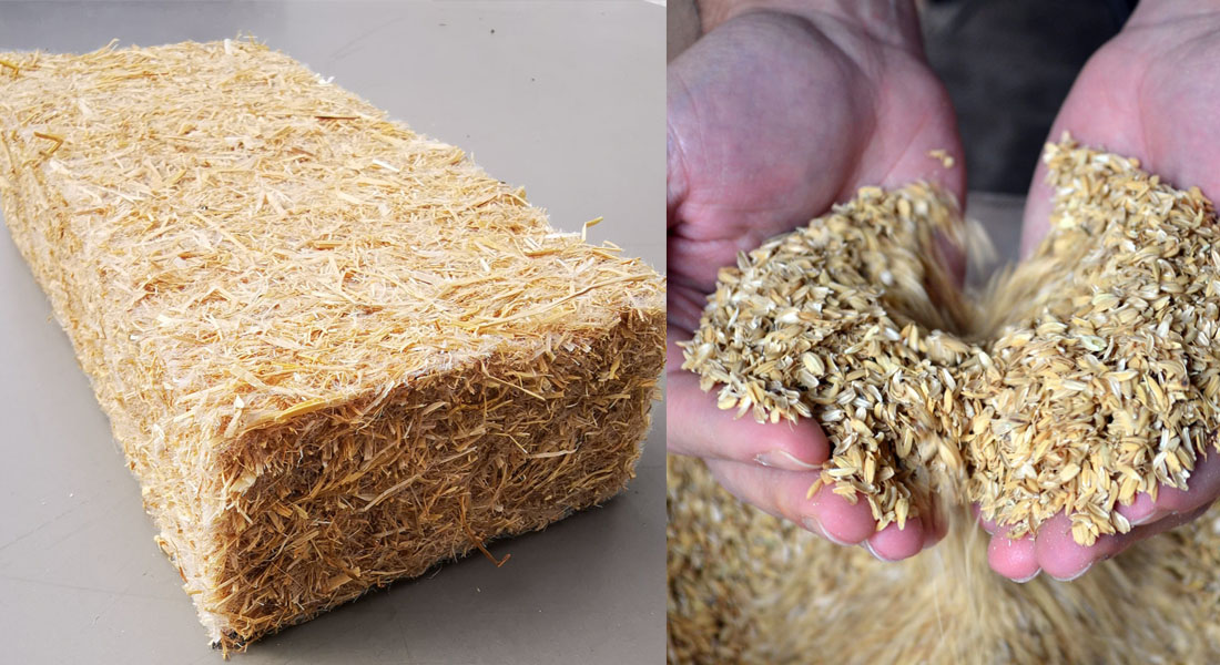 substrato de arroz