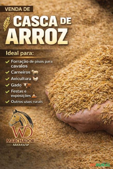 arroz carbonizado