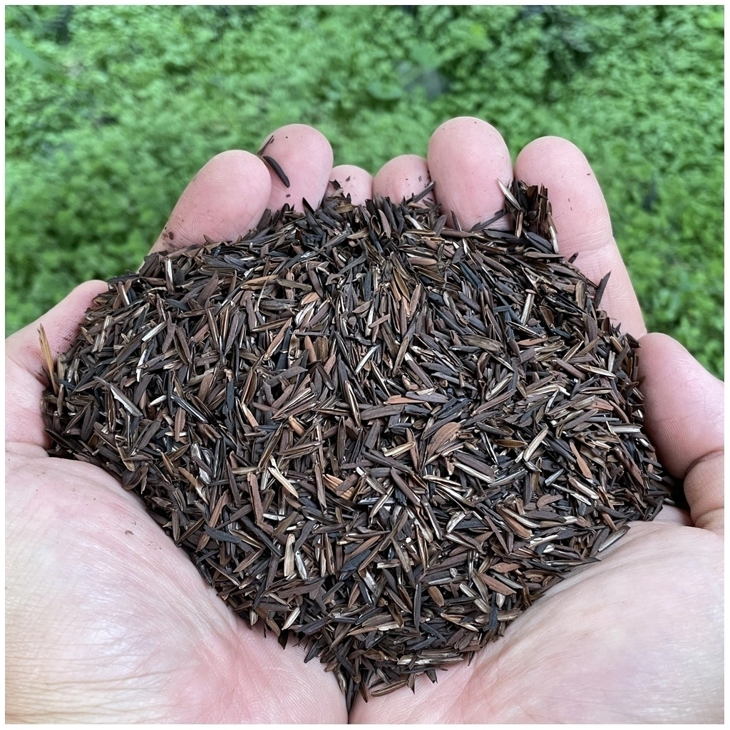 papel de arroz comestível