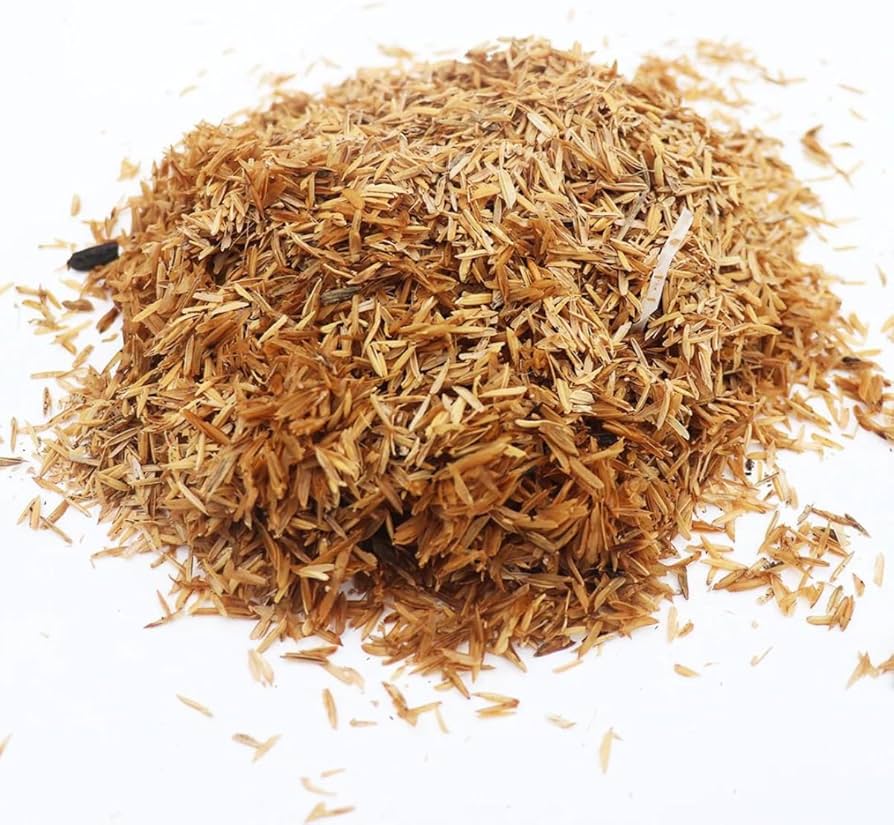 palha de arroz para plantas