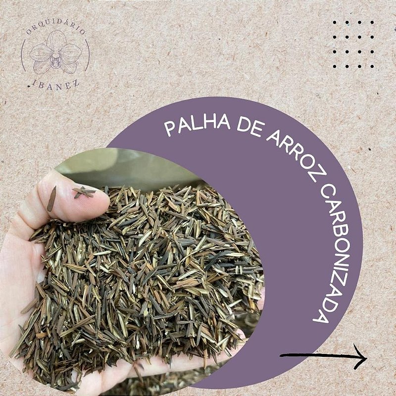 benefícios da palha de arroz