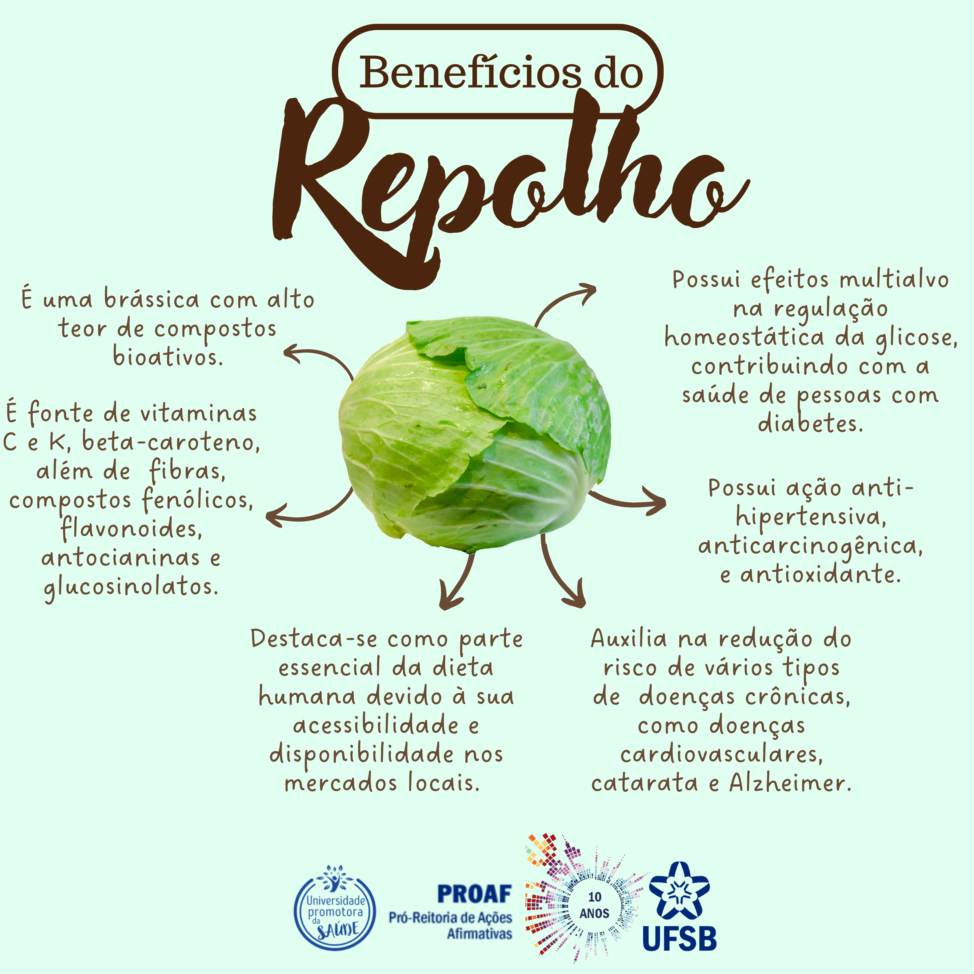 Para Que Serve O Repolho