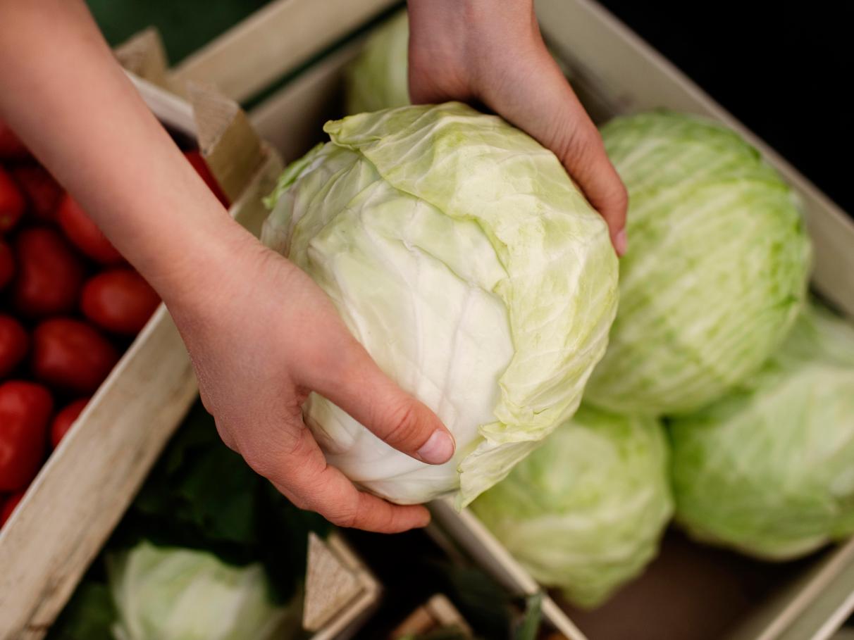Repolho Roxo vs. Repolho Verde: Qual o Melhor para Sua Dieta?