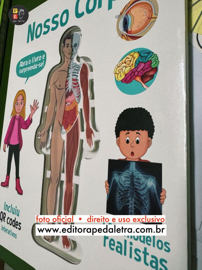 hilo renal