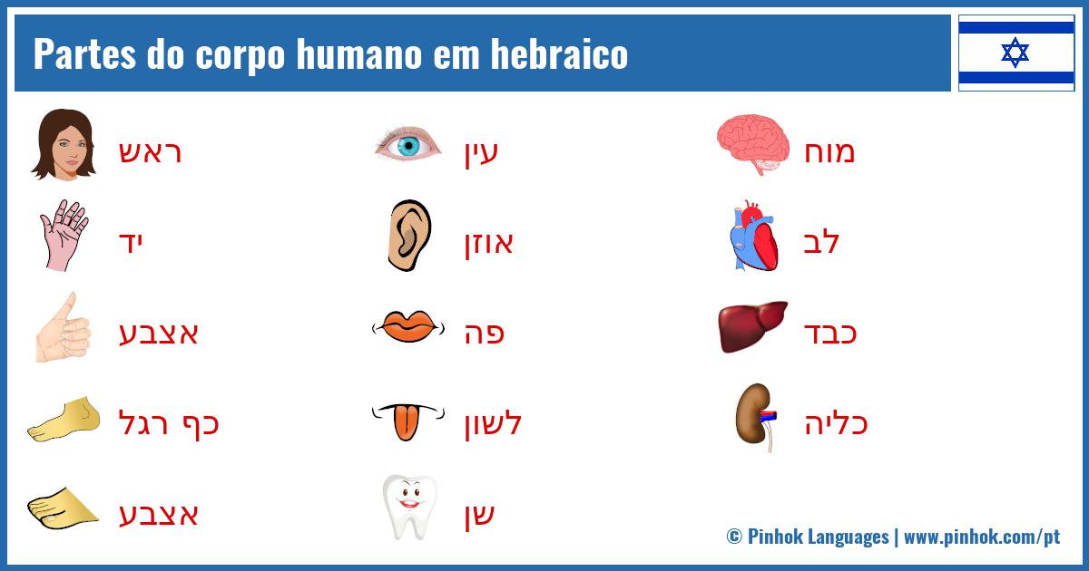 partes do corpo que começam com h