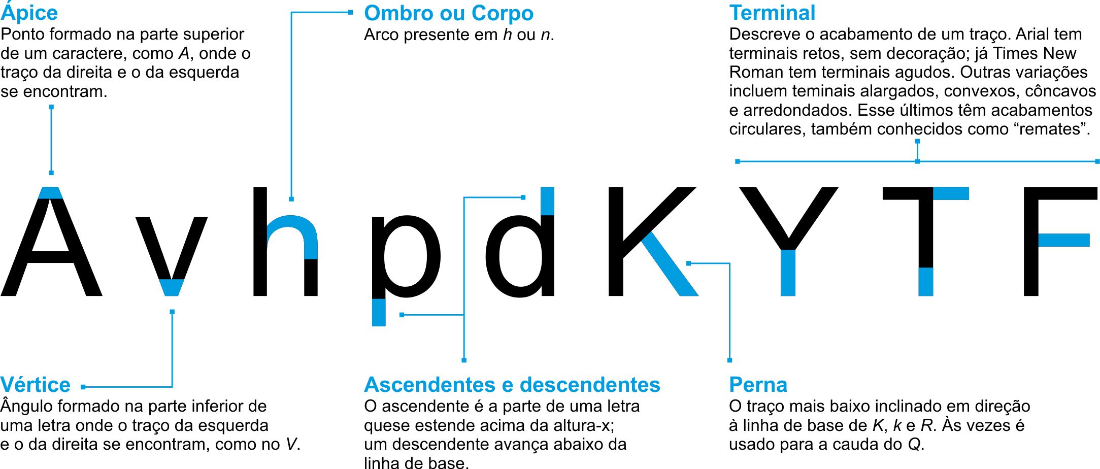 regiões do corpo com x