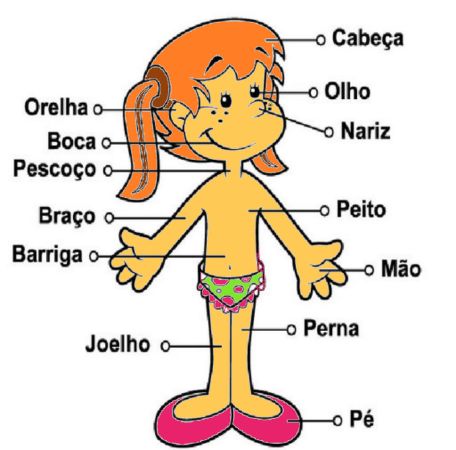 terminologia médica com x