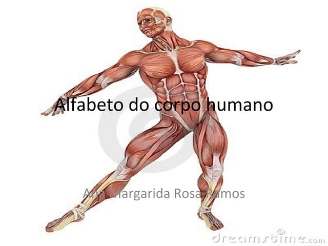 partes do corpo humano com a para jogo stop