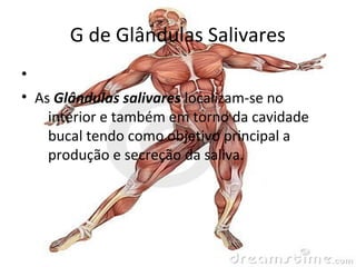 partes do corpo humano que começam com G